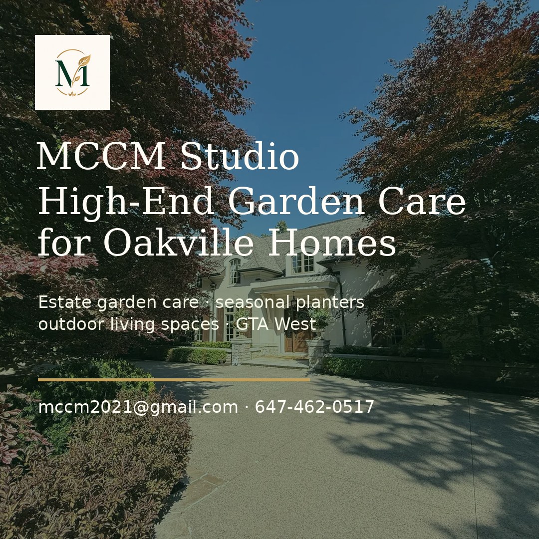 MCCM Studio social sharing image